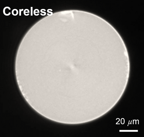 Cross-section micrograph of coreless silica optical fiber, a solid uniform-index rod with no discrete core