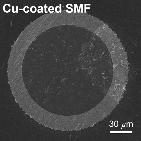 Cross-section micrograph of copper-coated single-mode optical fiber, showing the metallic Cu jacket around the silica cladding