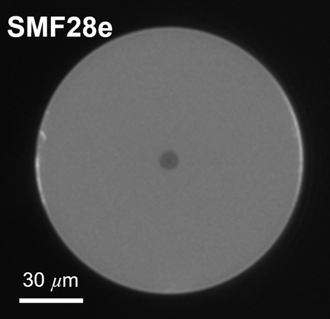 Cross-section micrograph of Silica SMF-28e single-mode optical fiber showing the ~8.2 µm core centered in a 125 µm cladding